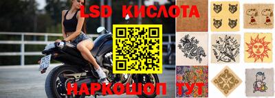 ПСИЛОЦИБИНОВЫЕ ГРИБЫ Кулебаки