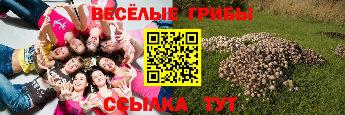 Псилоцибиновые грибы мухоморы Знаменск