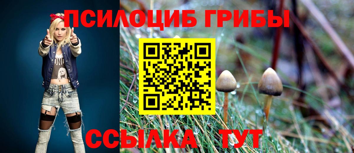 Знаменск  где найти   Вход с VPN  Галлюциногенные грибы ЛСД 